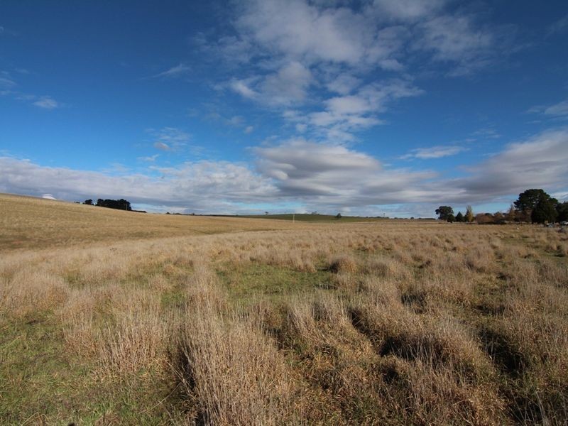 216 Long Swamp Road, Orange NSW 2800