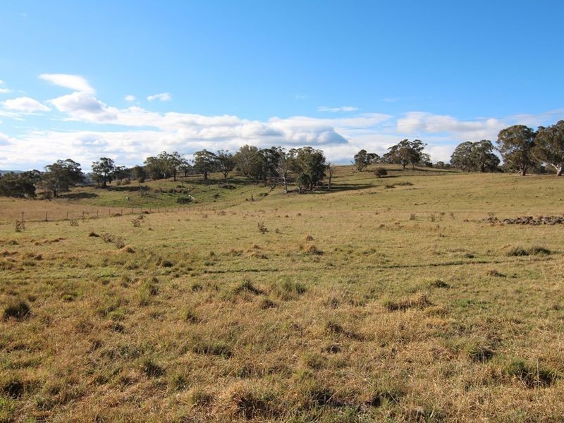 216 Long Swamp Road, Orange NSW 2800