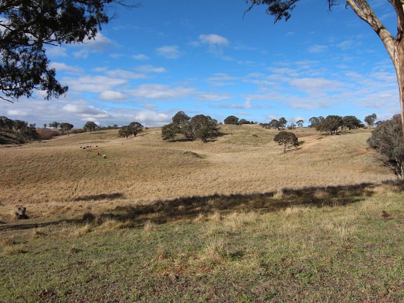 216 Long Swamp Road, Orange NSW 2800