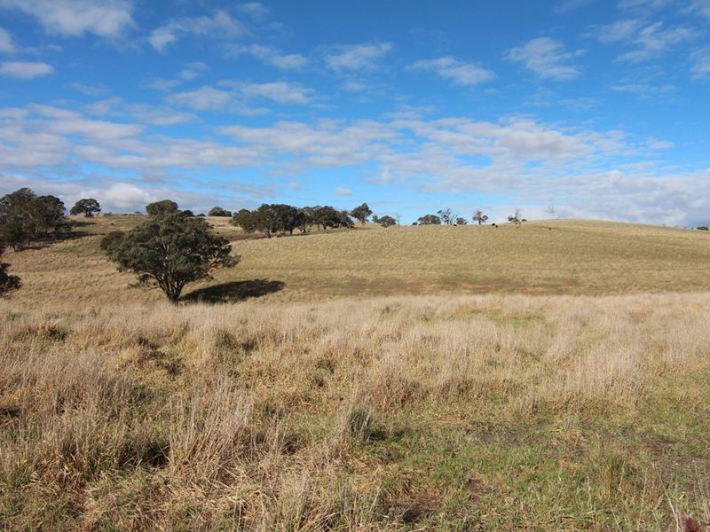 216 Long Swamp Road, Orange NSW 2800