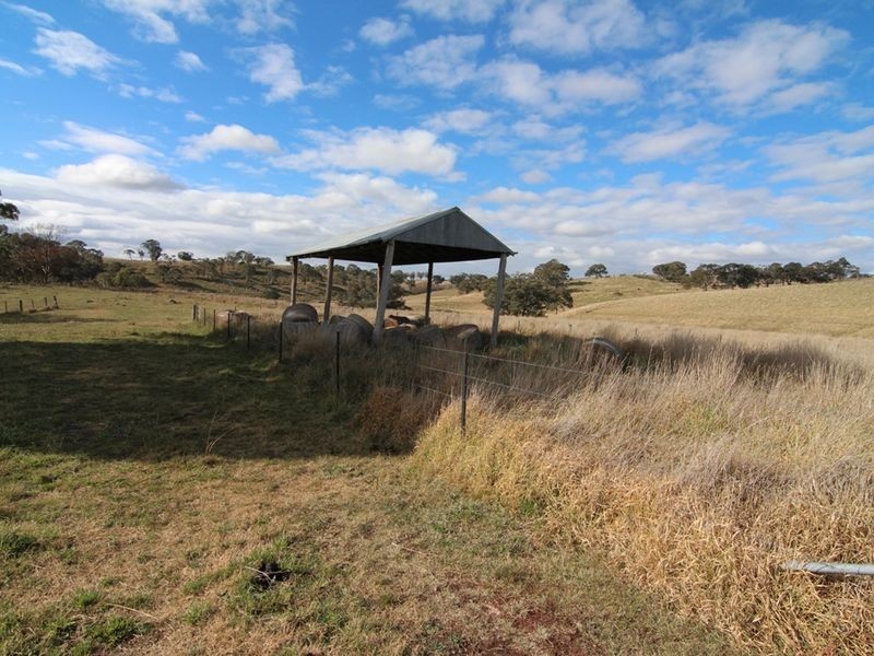 216 Long Swamp Road, Orange NSW 2800