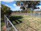 361 Pinnacle Road, Orange NSW 2800