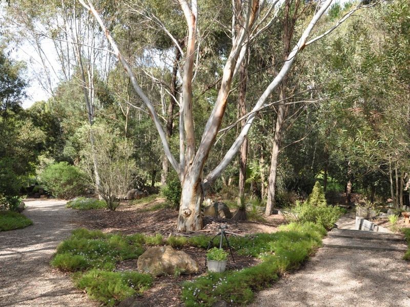 8 Templer Place, Orange NSW 2800