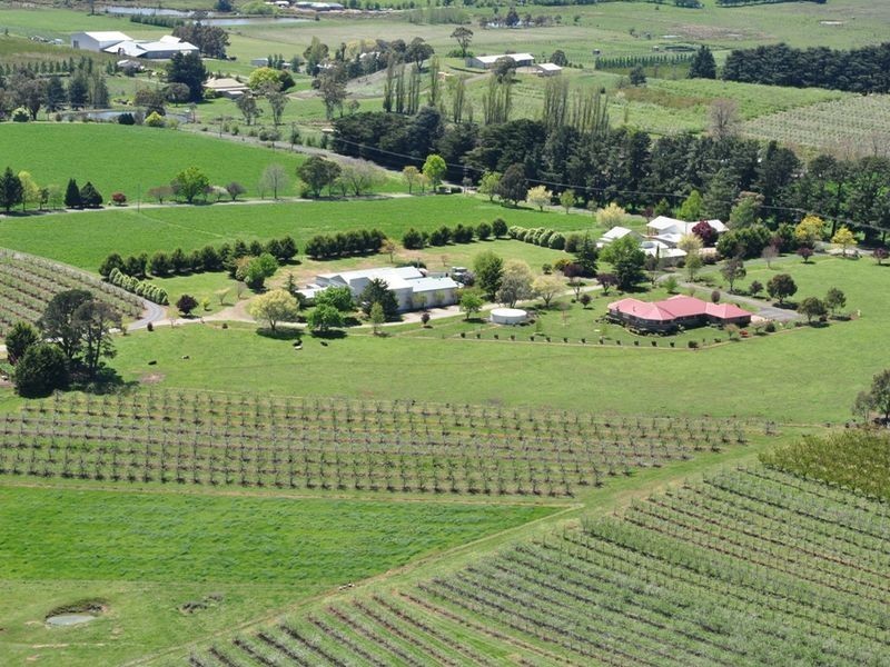 Mayfair 51 Wrights Lane, Orange NSW 2800