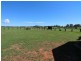 48 Buesnel Lane, Millthorpe NSW 2798