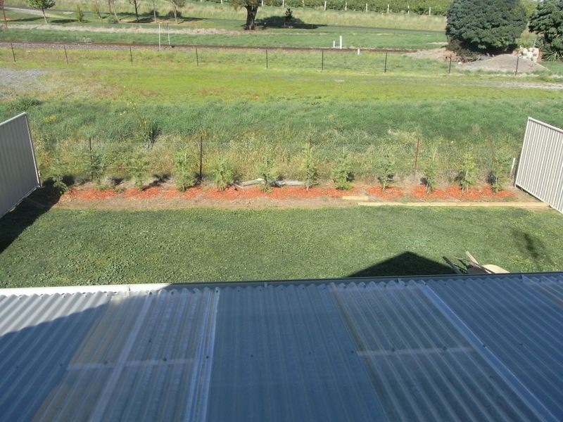 10 Elliot Street, Millthorpe NSW 2798