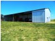 240 Longs Corner Road Canowindra, Orange NSW 2800