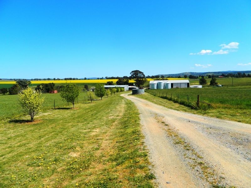 240 Longs Corner Road Canowindra, Orange NSW 2800