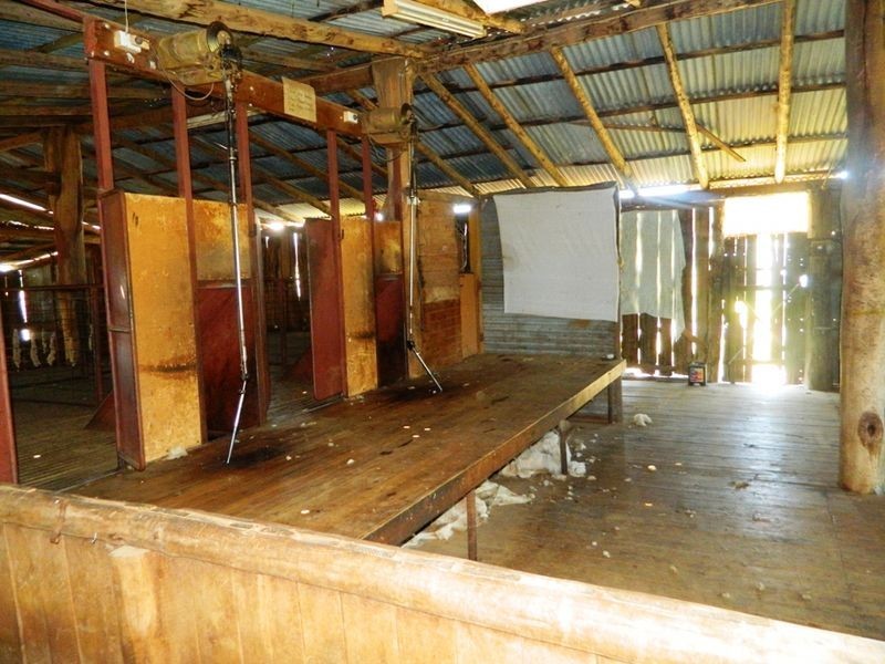 240 Longs Corner Road Canowindra, Orange NSW 2800