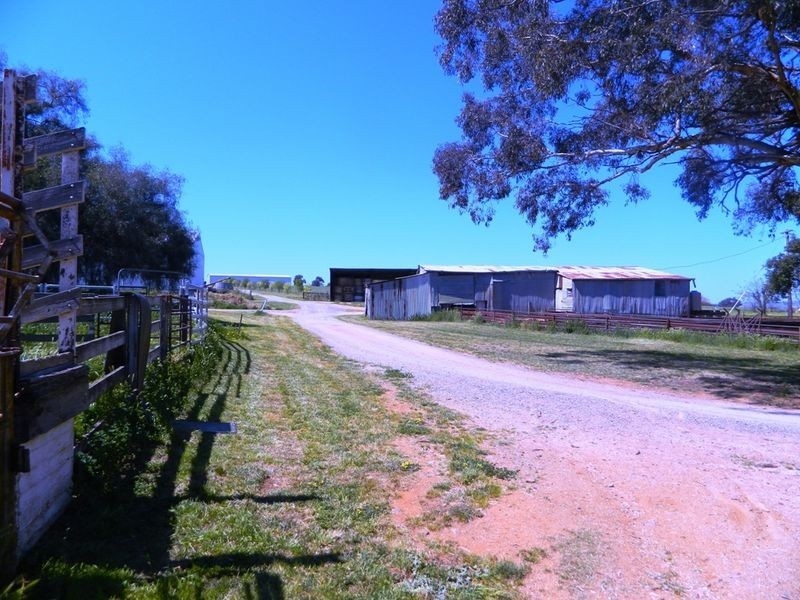 240 Longs Corner Road Canowindra, Orange NSW 2800
