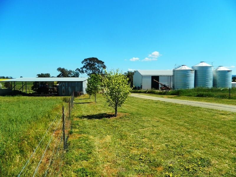 240 Longs Corner Road Canowindra, Orange NSW 2800