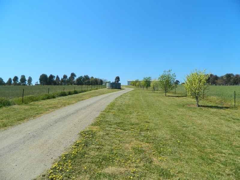 240 Longs Corner Road Canowindra, Orange NSW 2800