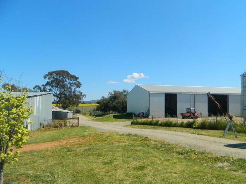 240 Longs Corner Road Canowindra, Orange NSW 2800