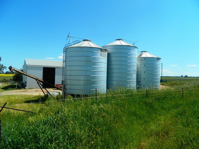 240 Longs Corner Road Canowindra, Orange NSW 2800