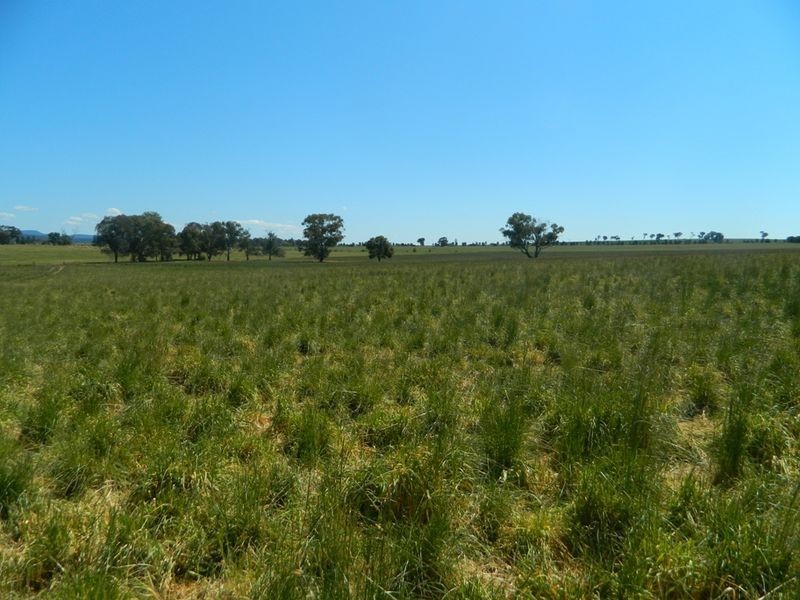 240 Longs Corner Road Canowindra, Orange NSW 2800