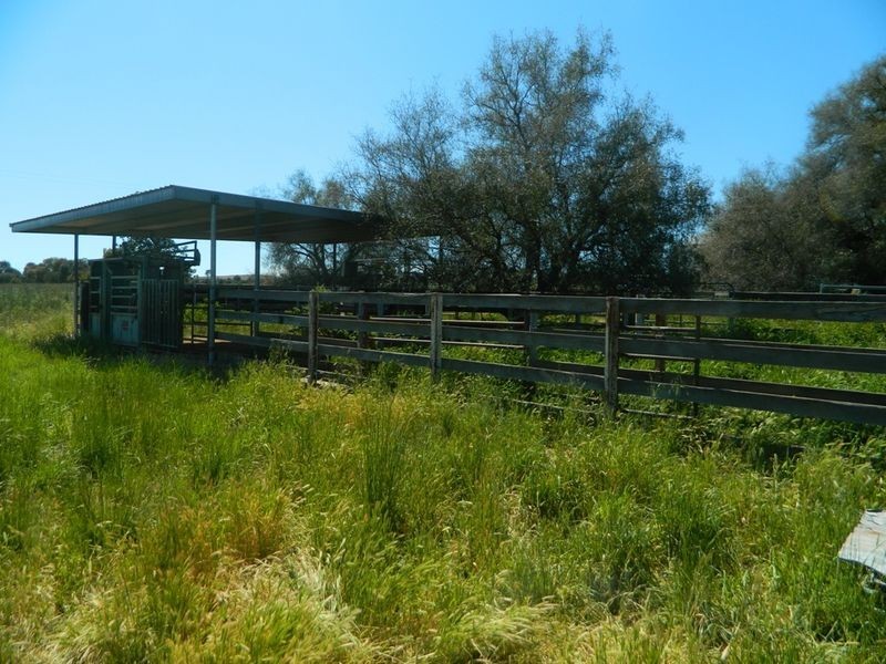 240 Longs Corner Road Canowindra, Orange NSW 2800