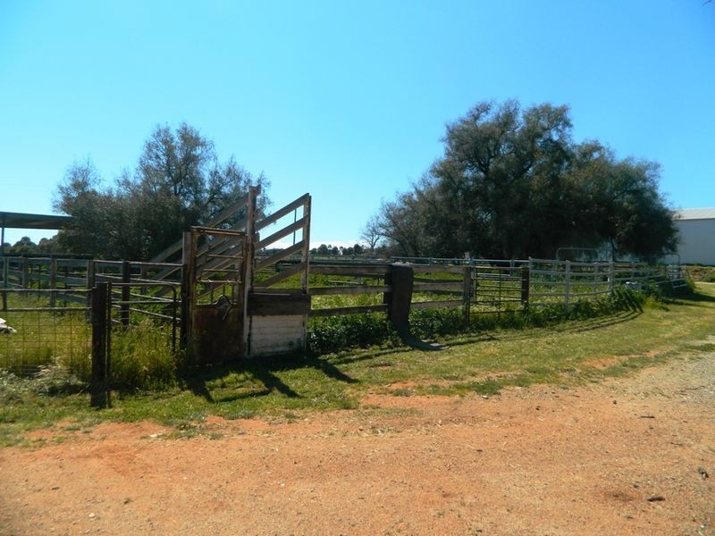240 Longs Corner Road Canowindra, Orange NSW 2800