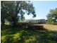 240 Longs Corner Road Canowindra, Orange NSW 2800