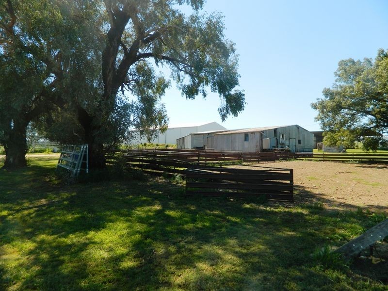 240 Longs Corner Road Canowindra, Orange NSW 2800