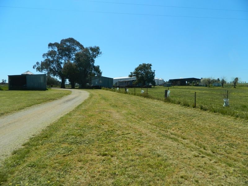 240 Longs Corner Road Canowindra, Orange NSW 2800