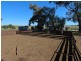 240 Longs Corner Road Canowindra, Orange NSW 2800