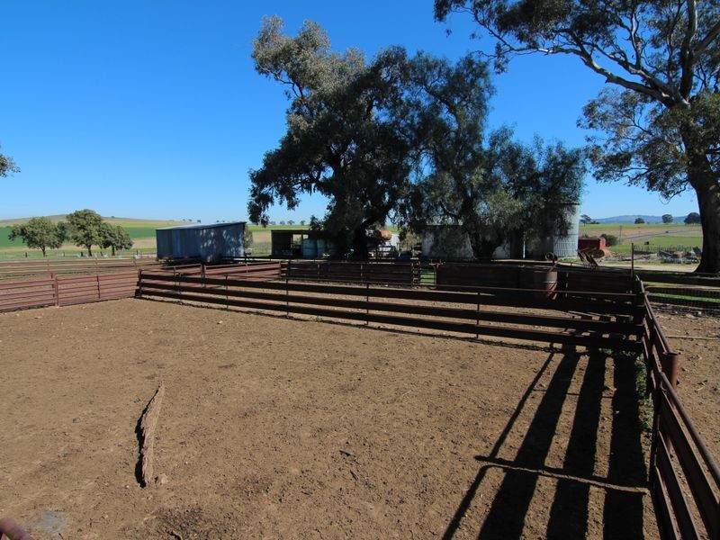 240 Longs Corner Road Canowindra, Orange NSW 2800