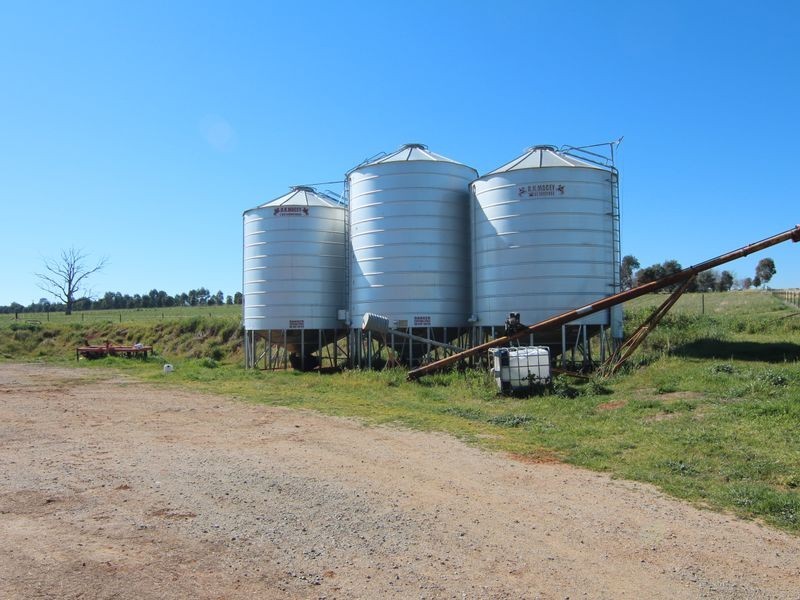 240 Longs Corner Road Canowindra, Orange NSW 2800