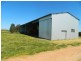 240 Longs Corner Road Canowindra, Orange NSW 2800