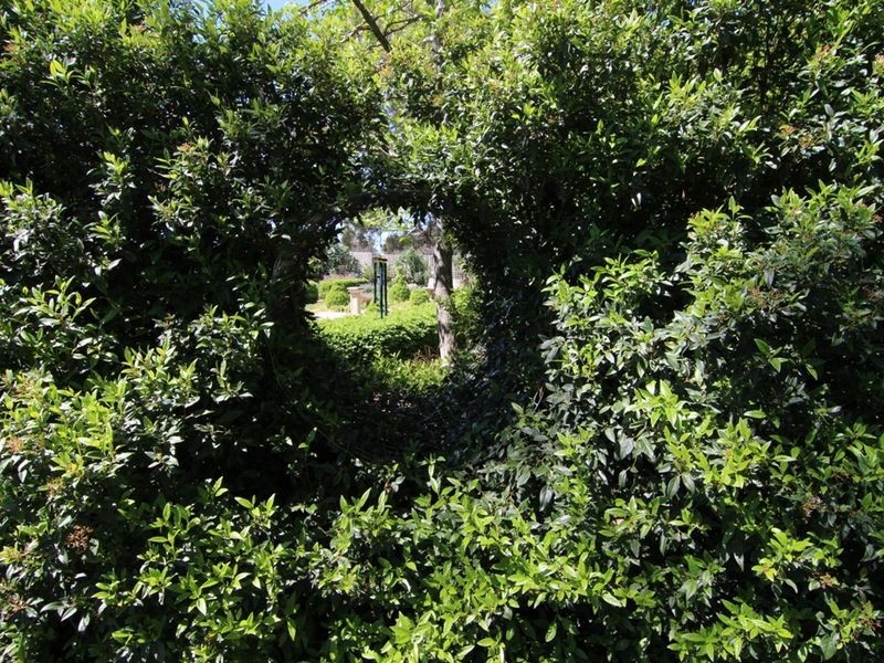 151 Myers Lane, Orange NSW 2800