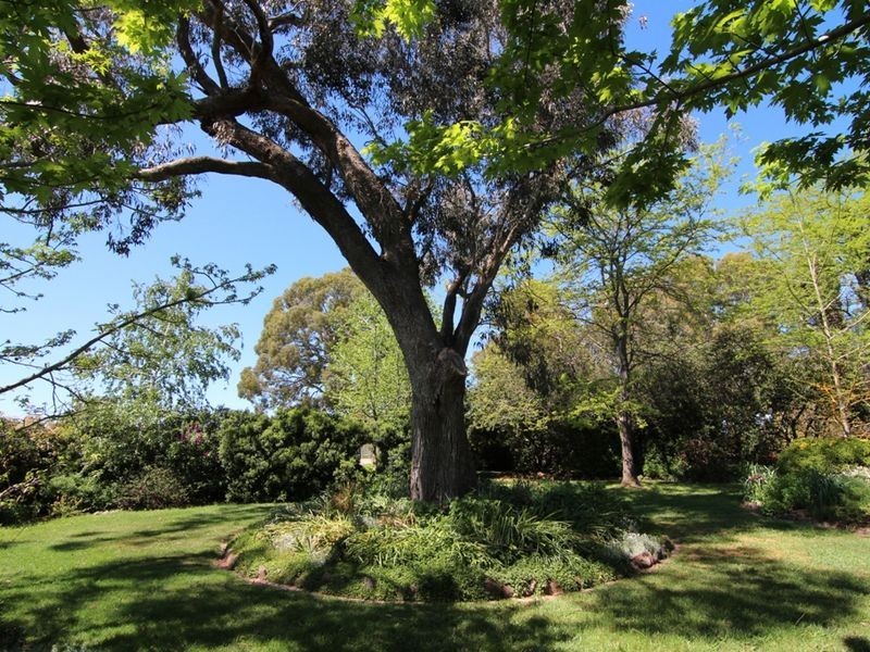 151 Myers Lane, Orange NSW 2800