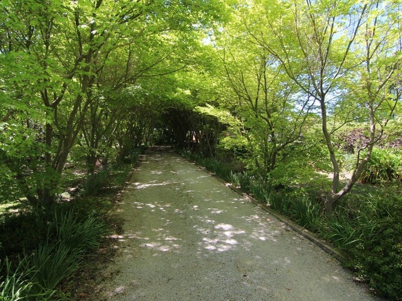 151 Myers Lane, Orange NSW 2800