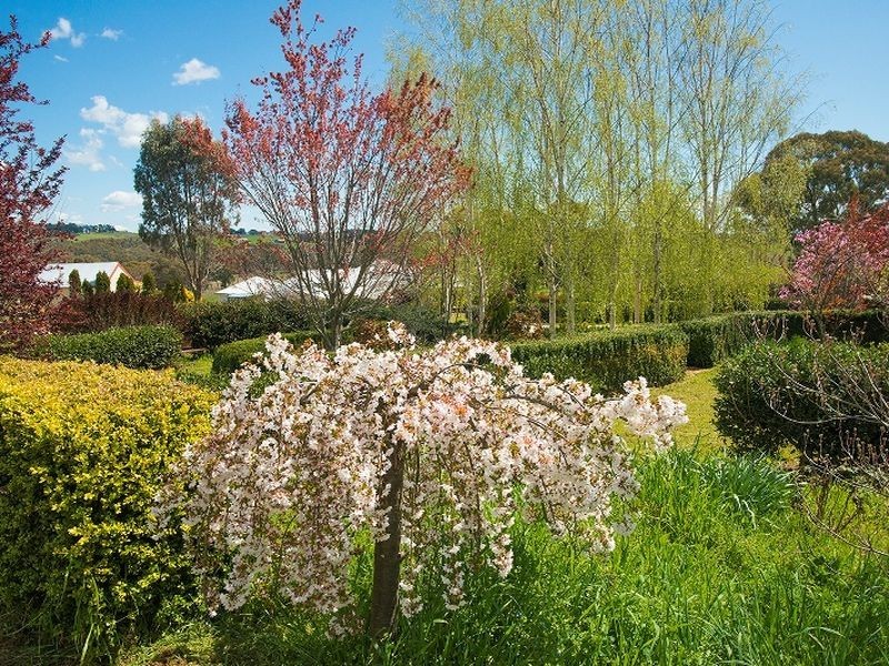 179 Woods Lane, Orange NSW 2800