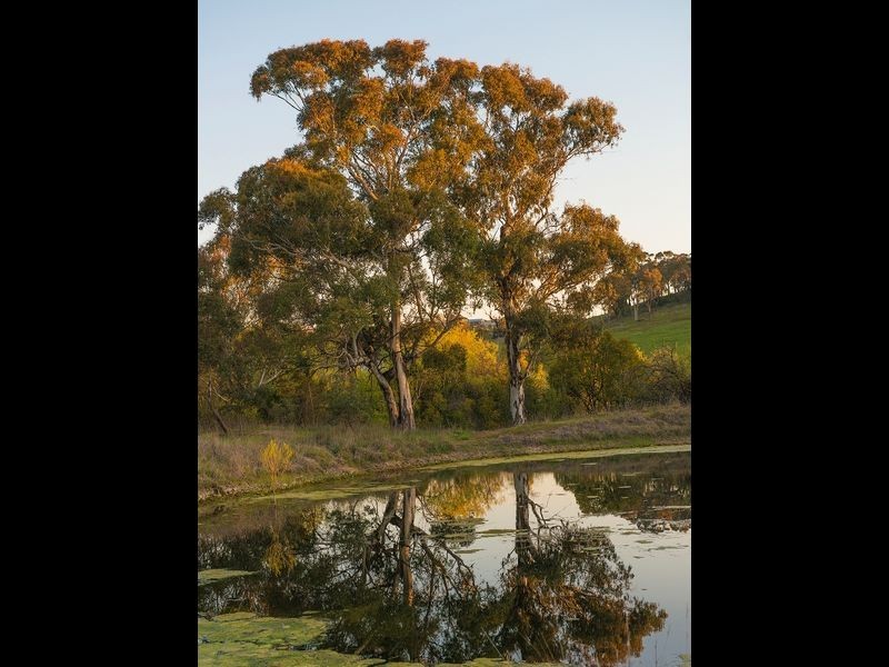 179 Woods Lane, Orange NSW 2800