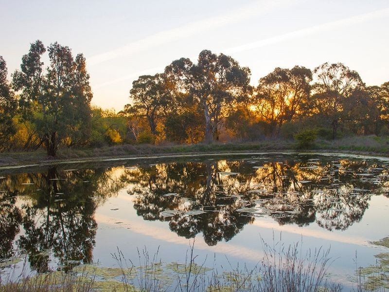 179 Woods Lane, Orange NSW 2800