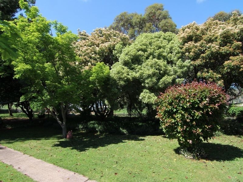 691 The Escort Way, Orange NSW 2800