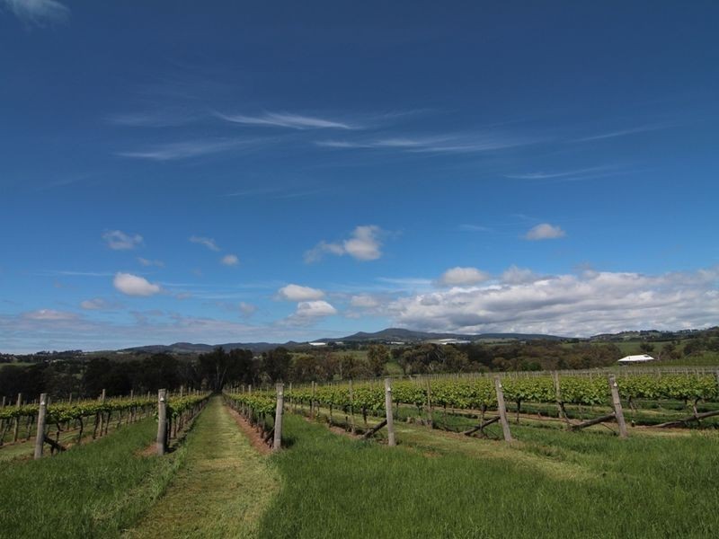 691 The Escort Way, Orange NSW 2800