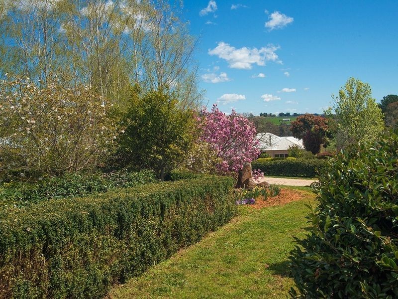 TheWillows 179 Woods Lane, Orange NSW 2800