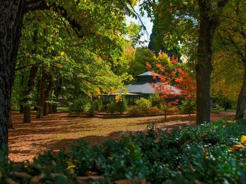 52 Kite Street, Orange NSW 2800