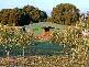 The Olive Pit/Lot 19 Cnr Commonage Rd & Brushwood Brook Dr, Yallingup WA 6282
