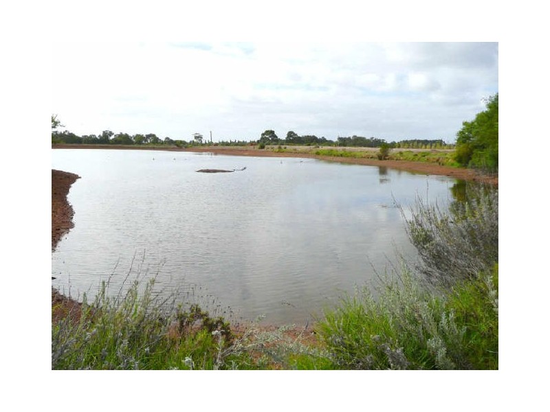 Witchcliffe WA 6286