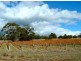 Mount Barker WA 6324
