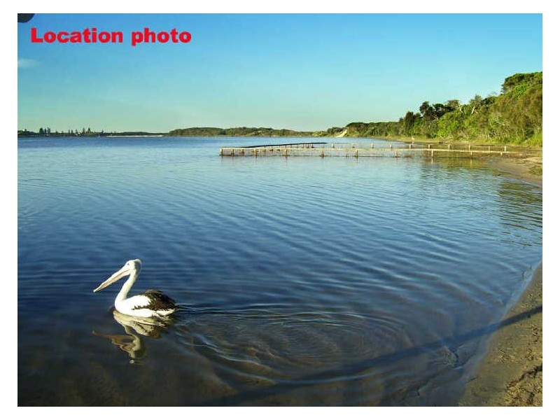 91 Main Road, Manning Point NSW 2430