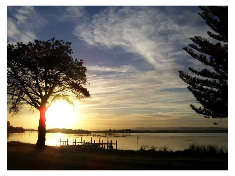 91 Main Road, Manning Point NSW 2430