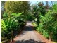 11 Rainforest Drive, Mitchells Island NSW 2430