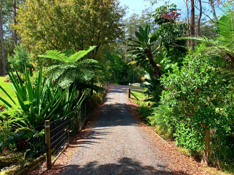 11 Rainforest Drive, Mitchells Island NSW 2430