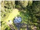 11 Rainforest Drive, Mitchells Island NSW 2430