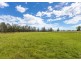 67 Riverview Road, Mitchells Island NSW 2430