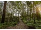 13 Rainforest Drive, Mitchells Island NSW 2430
