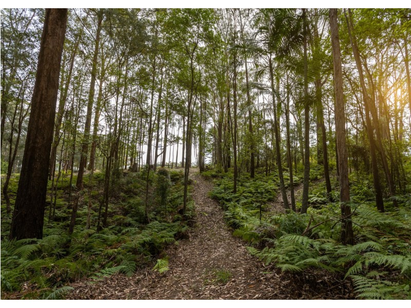 13 Rainforest Drive, Mitchells Island NSW 2430