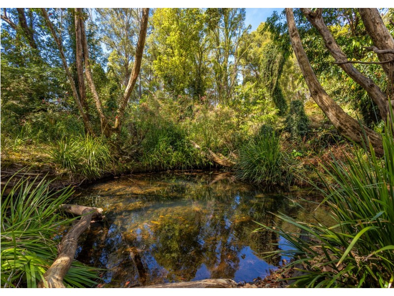 65 Careys Road, Hillville NSW 2430